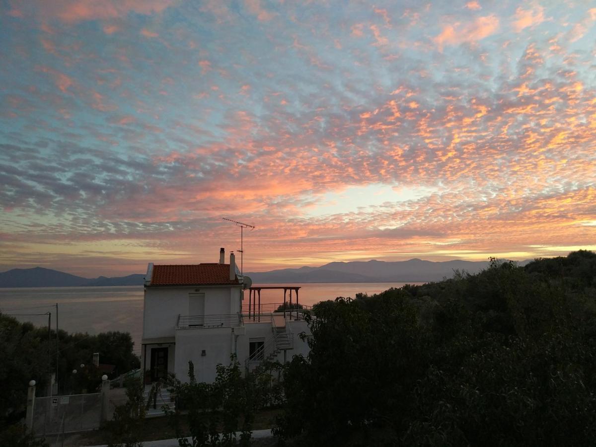 Seaside Boutique Villa Volos Exteriér fotografie